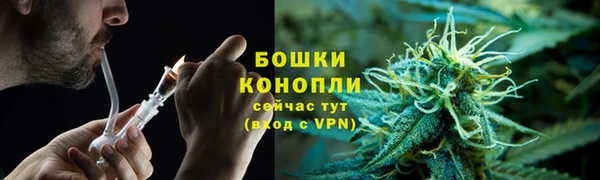 шишки Наволоки