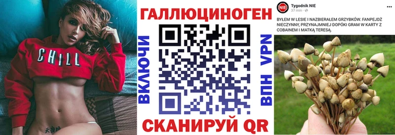 Галлюциногенные грибы Magic Shrooms  Солнечногорск 