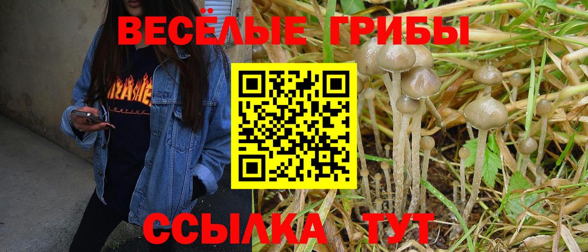 Галлюциногенные грибы Magic Shrooms Солнечногорск